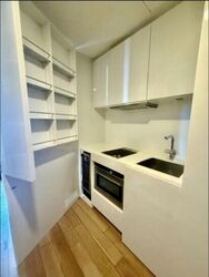 Skysuites@Anson (D2), Apartment #504302351